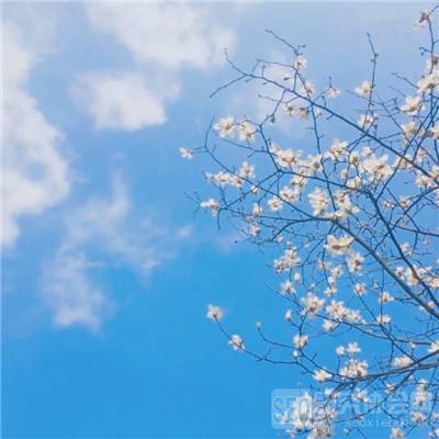 kok中欧登录入口下载手机版