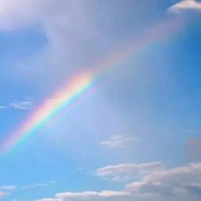 kok中欧登录入口下载手机版