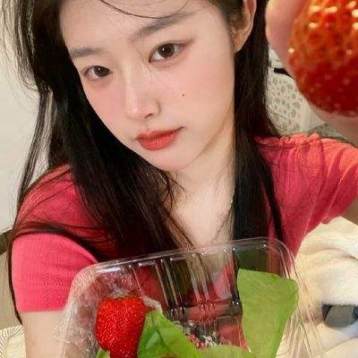 火狐app最新登录